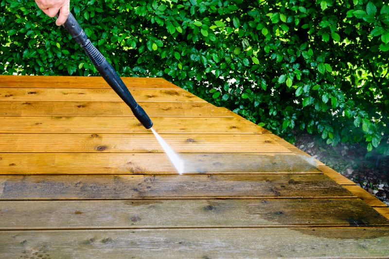 Professional Deck Cleaning